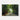 Bamboo Avenue Jamaica canvas wall art with golden light filtering through the trees